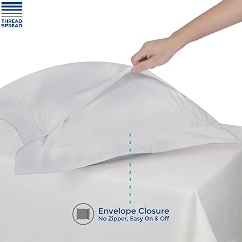 Thread Spread Egyptian Cotton Pillow Shams Set of 2