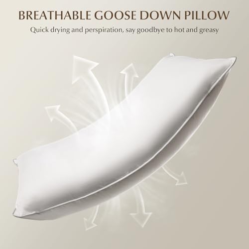 Finbuco Natural Goose Down Pillow - 750 Fill Power Soft Comfort Hotel-Luxury