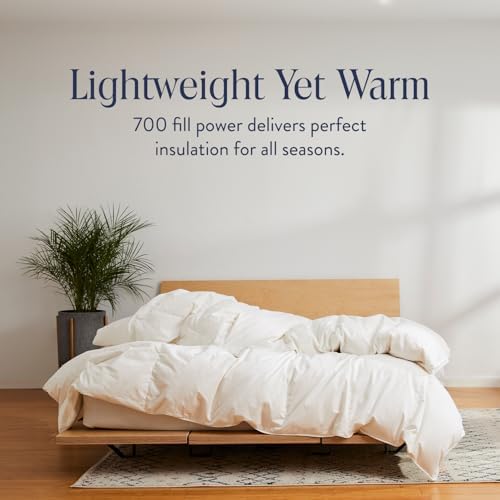 Brooklinen All Season Down Comforter FullQueen