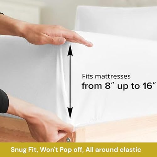 FEEKO Queen Size 4 Piece Microfiber Sheet Set
