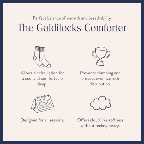 Brooklinen All Season Down Comforter - 700 Fill Power 100 Cotton Shell