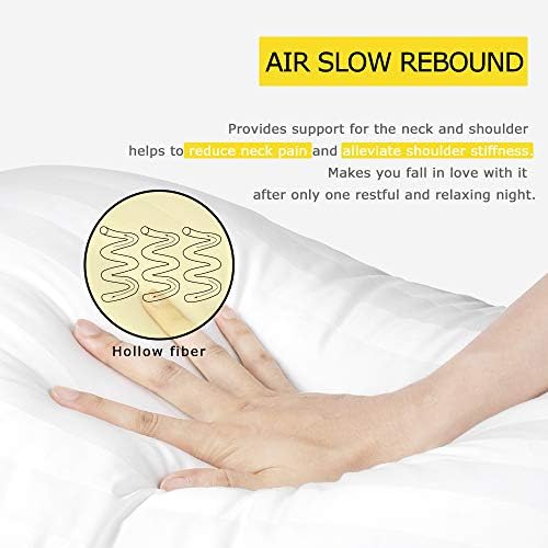 COZSINOOR Premium Plush Bed Pillows Pack of 4