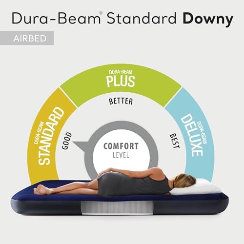 Intex 10 Inch Dura Beam Air Mattress with Plush Top 2 Pack