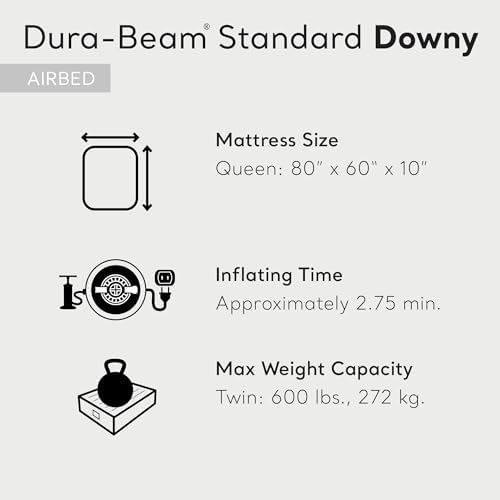 Intex 10 Inch Dura Beam Air Mattress with Plush Top 2 Pack