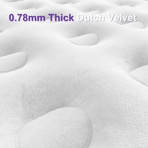 HikerSKY Queen Air Mattress with Wireless Pump 22 Inch Purple