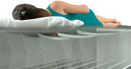 Intex 10 Inch Dura Beam Air Mattress with Plush Top 2 Pack