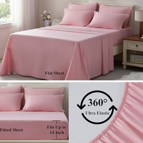 ElNido Queen Blush Pink Queen Comforter Set 7 Pieces