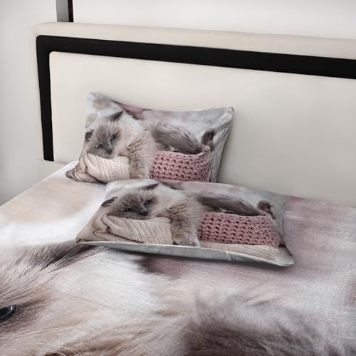 AILONEN Velvet Queen Sheet Set with Cat Print
