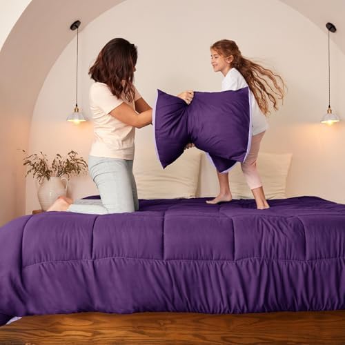 Exclusivo Mezcla Summer Reversible Comforter Set