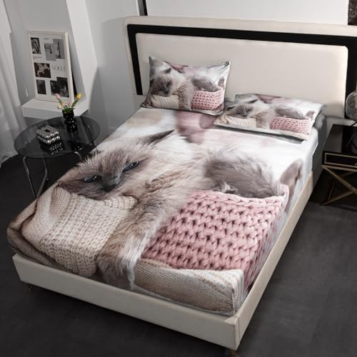 AILONEN Velvet Queen Sheet Set with Cat Print