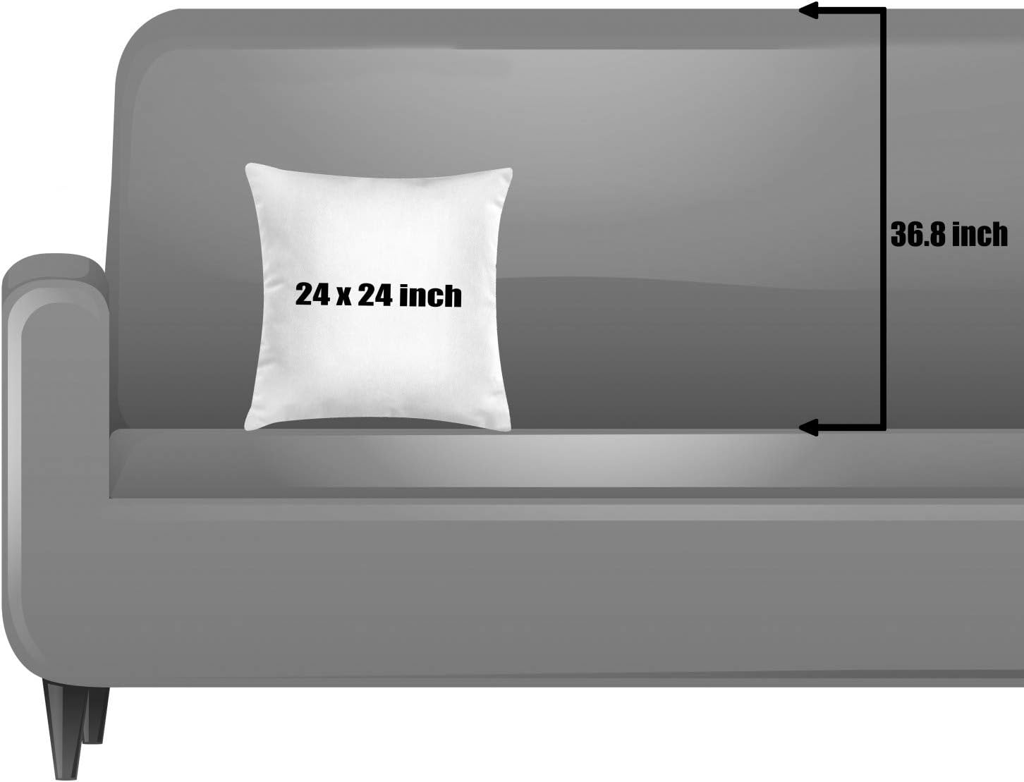 Ambesonne 24x24 Lazy Cat Throw Pillow Cover