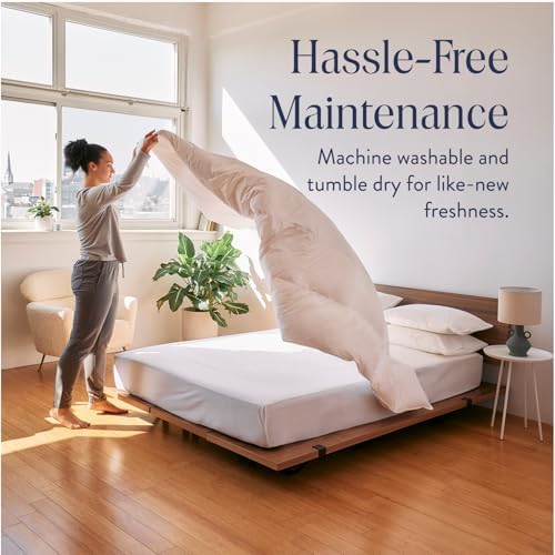 Brooklinen All Season Down Comforter - 700 Fill Power 100 Cotton Shell