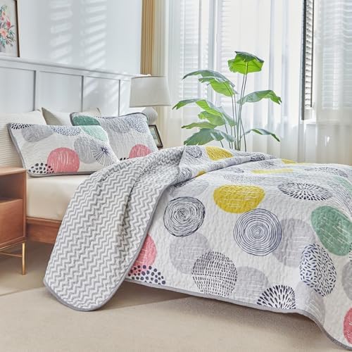 UOZZI BEDDING Kids Quilt Set 2 Piece Reversible
