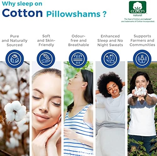 Thread Spread Egyptian Cotton Pillow Shams Set of 2
