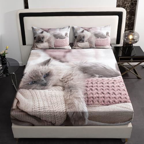 AILONEN Velvet Queen Sheet Set with Cat Print