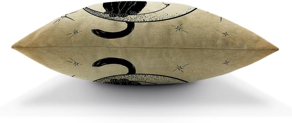 Moslion Black Cat Sits on Moon Throw Pillow Cover 18x18 Inch