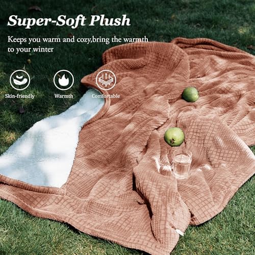 Texciting Fog Rose Heated Blanket 50x60