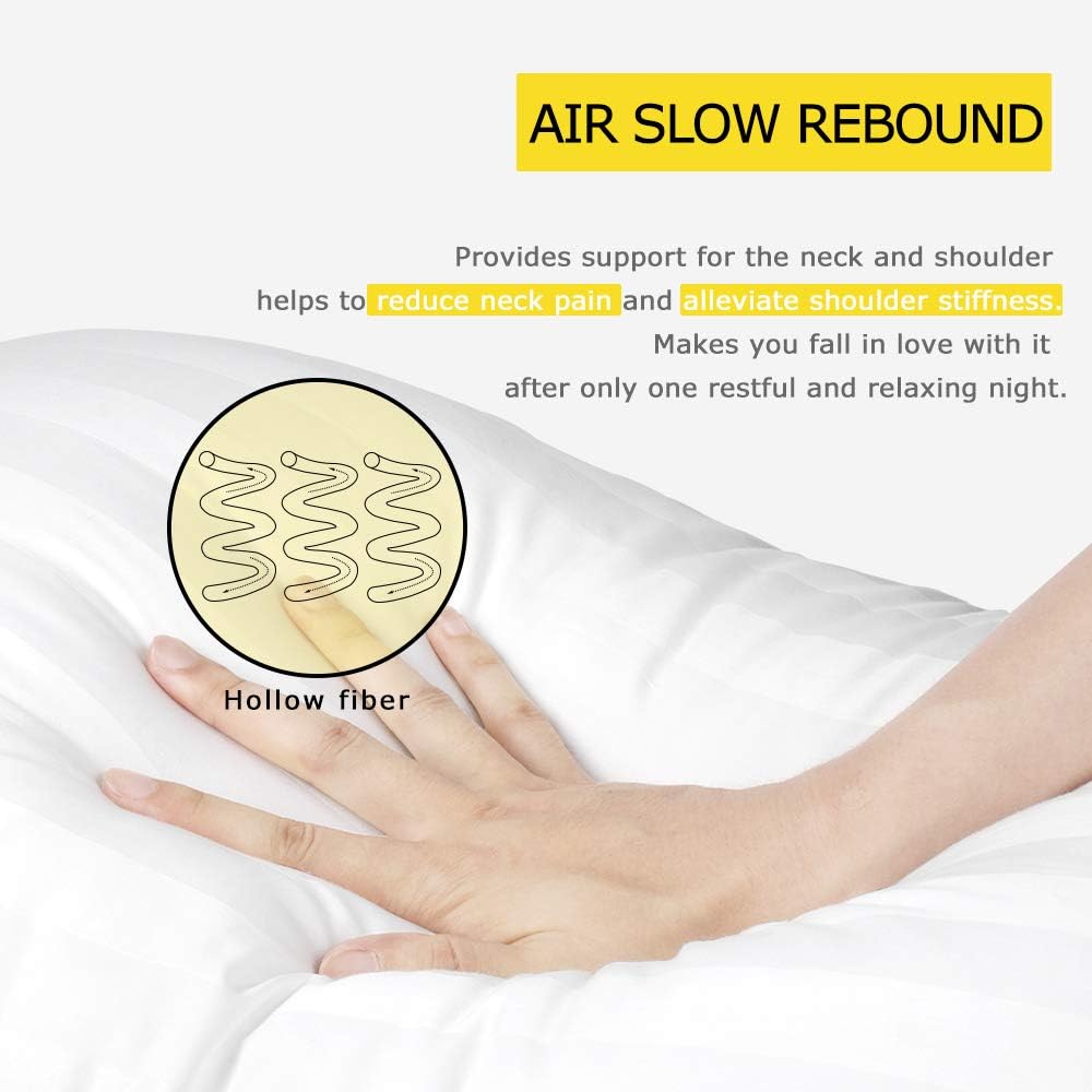 COZSINOOR Premium Plush Bed Pillows Pack of 4