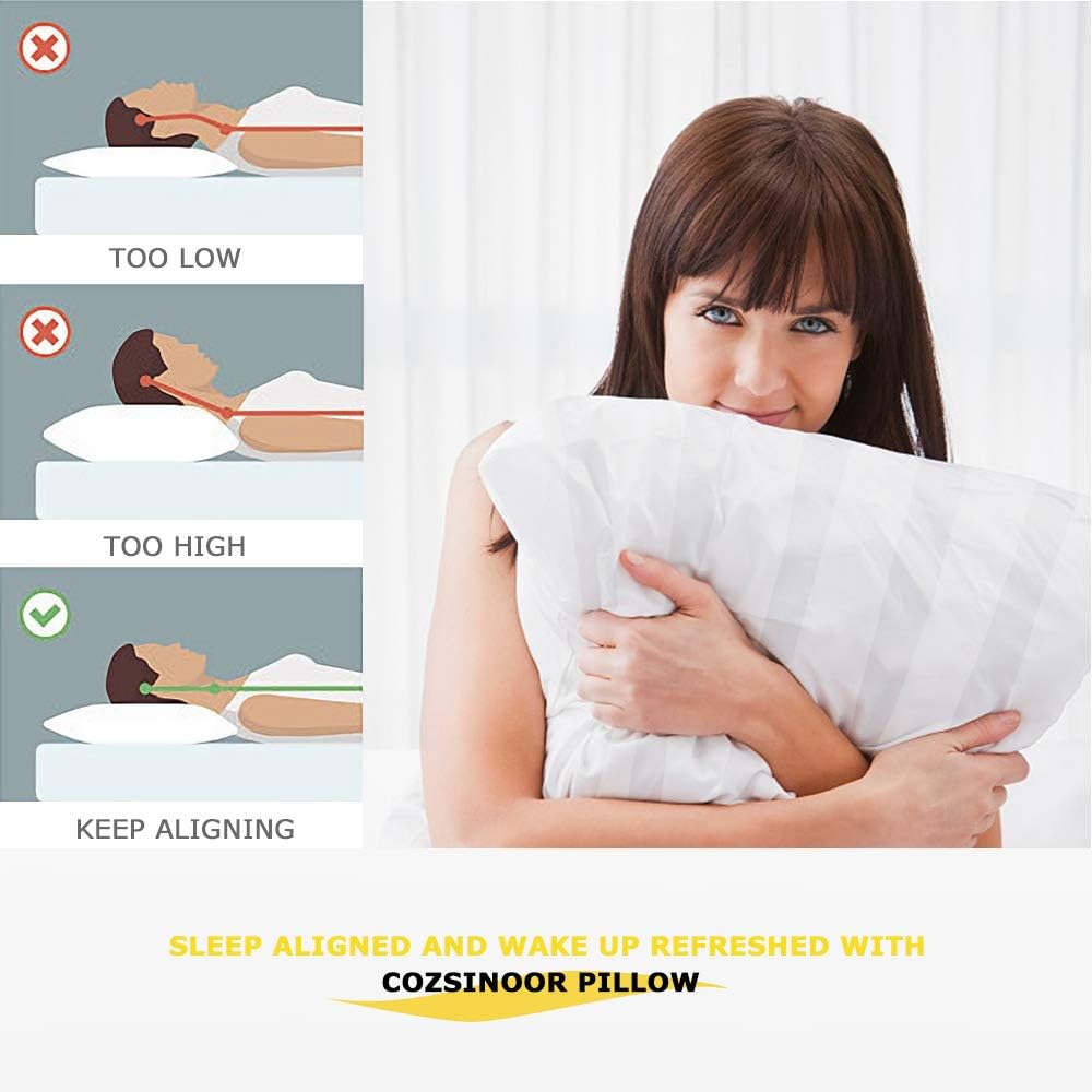 COZSINOOR Premium Plush Bed Pillows Pack of 4