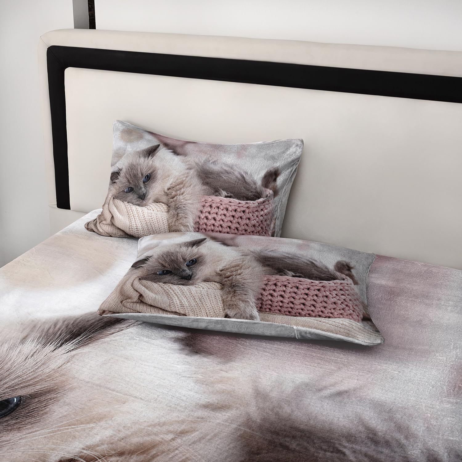 AILONEN Velvet Queen Sheet Set with Cat Print