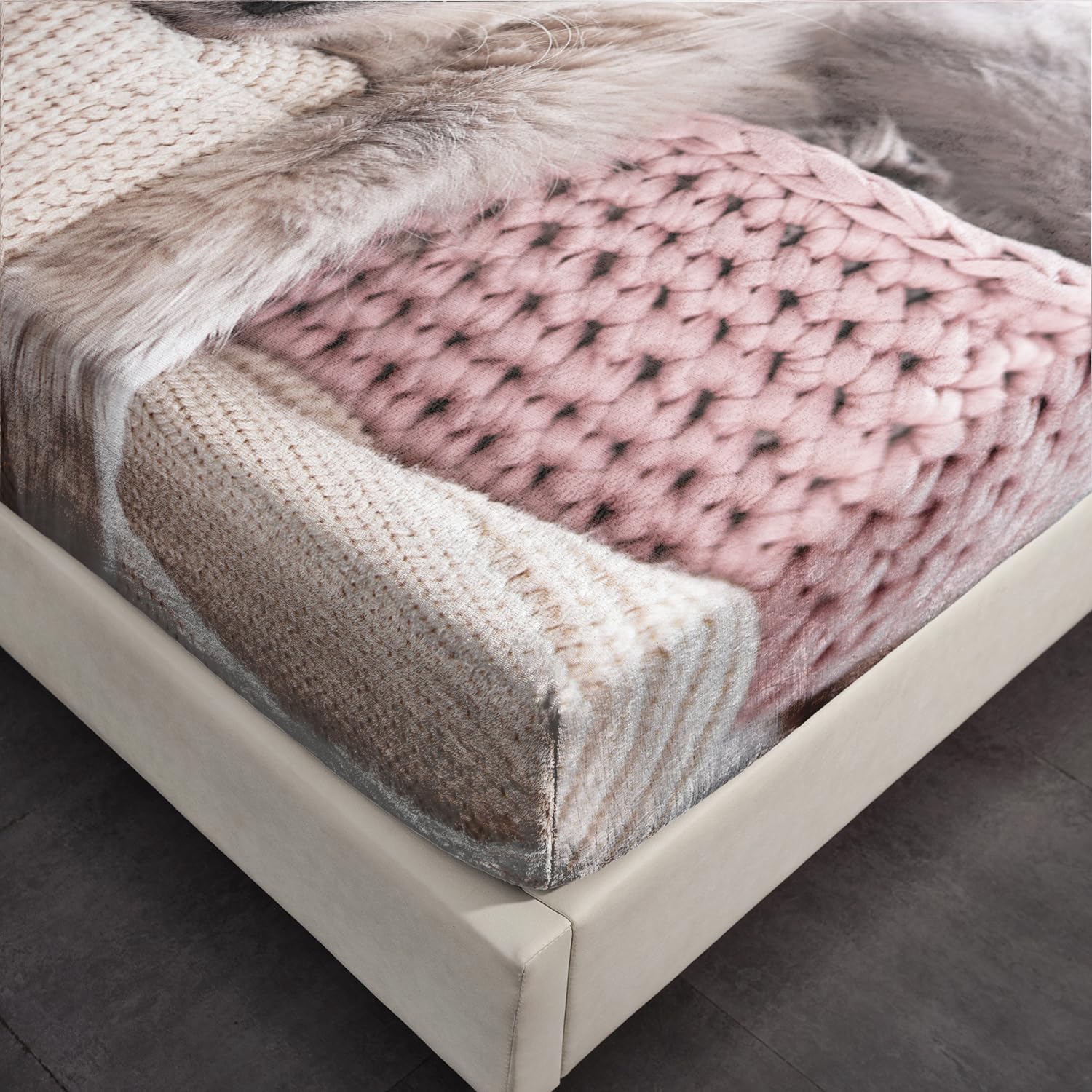 AILONEN Velvet Queen Sheet Set with Cat Print