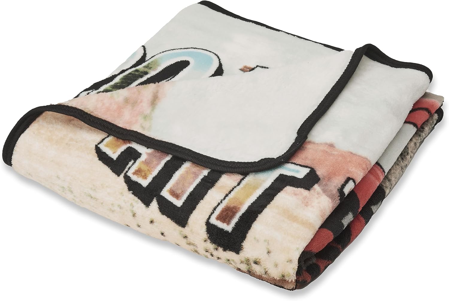 Northwest Cars Micro Raschel Throw Blanket 46 x 60