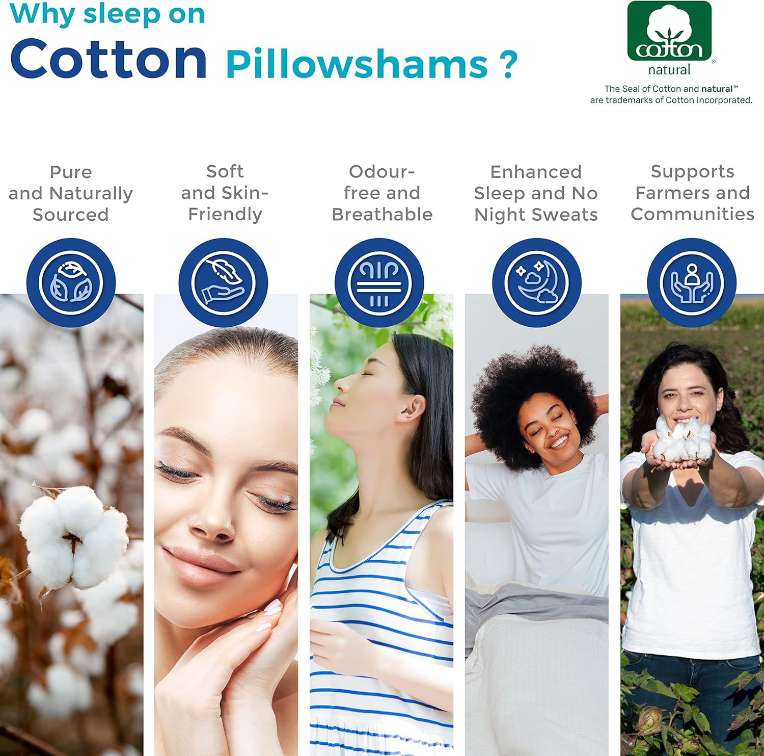 Thread Spread Egyptian Cotton Pillow Shams Set of 2