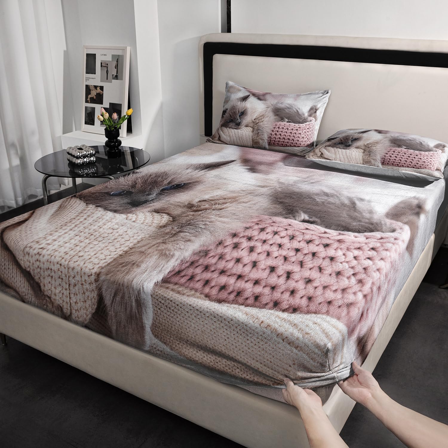 AILONEN Velvet Queen Sheet Set with Cat Print