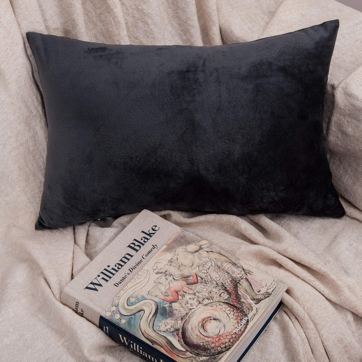NTBAY Velvet Pillowcases 2 Pack 20x30 Inches Charcoal Grey